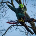 Tree Pruning Techniques