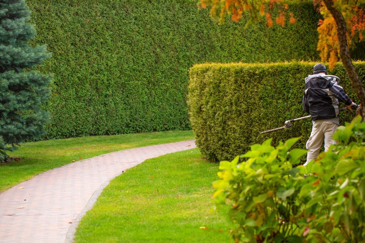 Expert Hedge Trimming