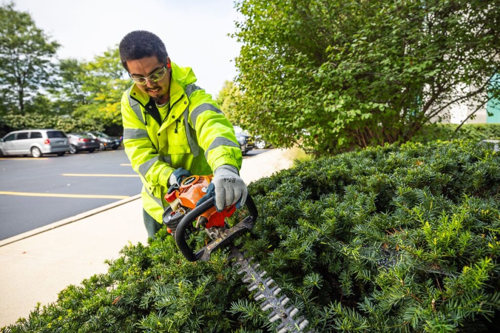 Expert Hedge Trimming